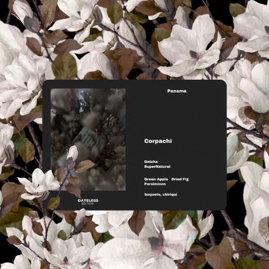 [Filter] Panama Corpachi