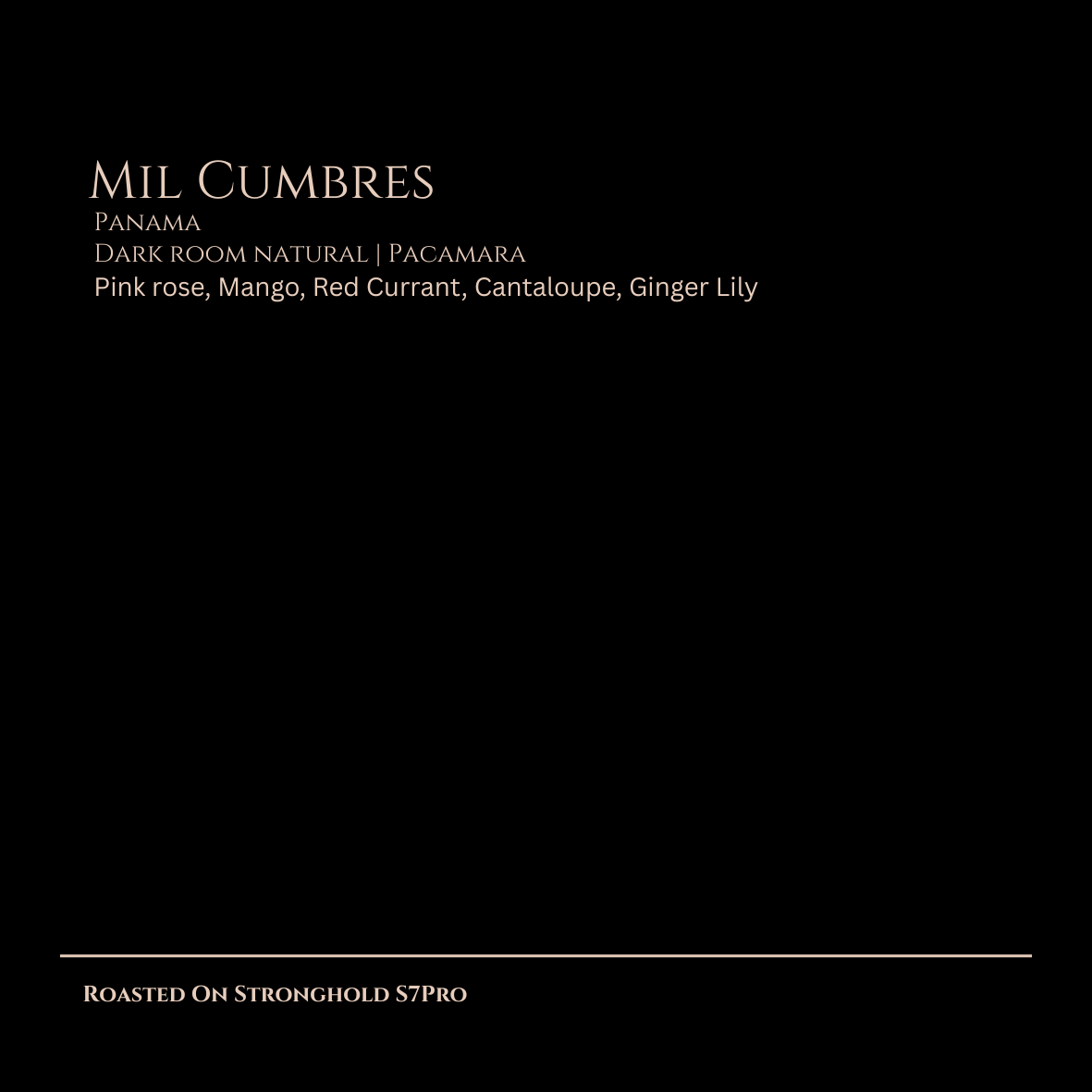 Mil Cumbres, Dark Room Natural, Pacamara, Panama