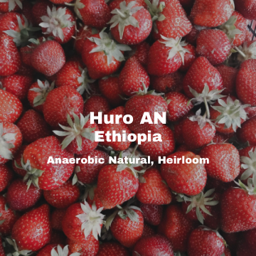 [Espresso] Ethiopia Huro AN