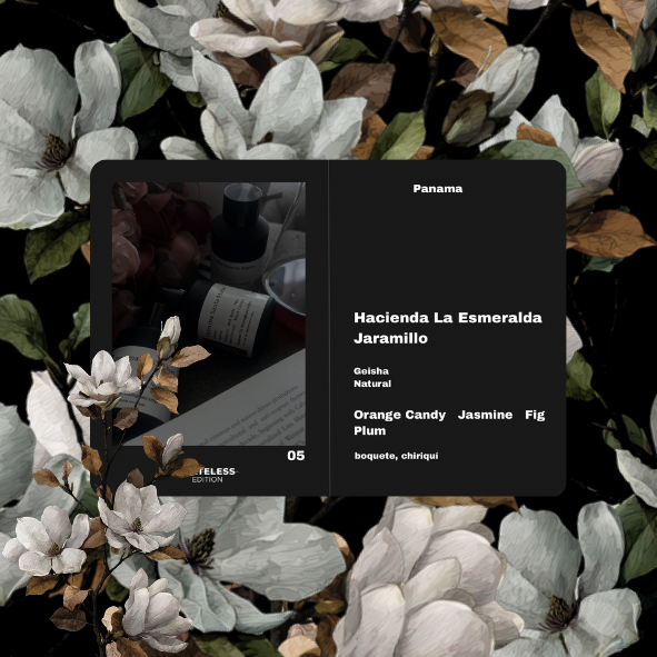[Filter] Panama Hacienda La Esmeralda Jaramillo [Esmeralda Private Collection]