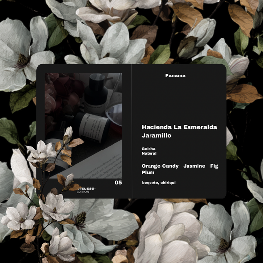 [Filter] Panama Hacienda La Esmeralda Jaramillo [Esmeralda Private Collection]