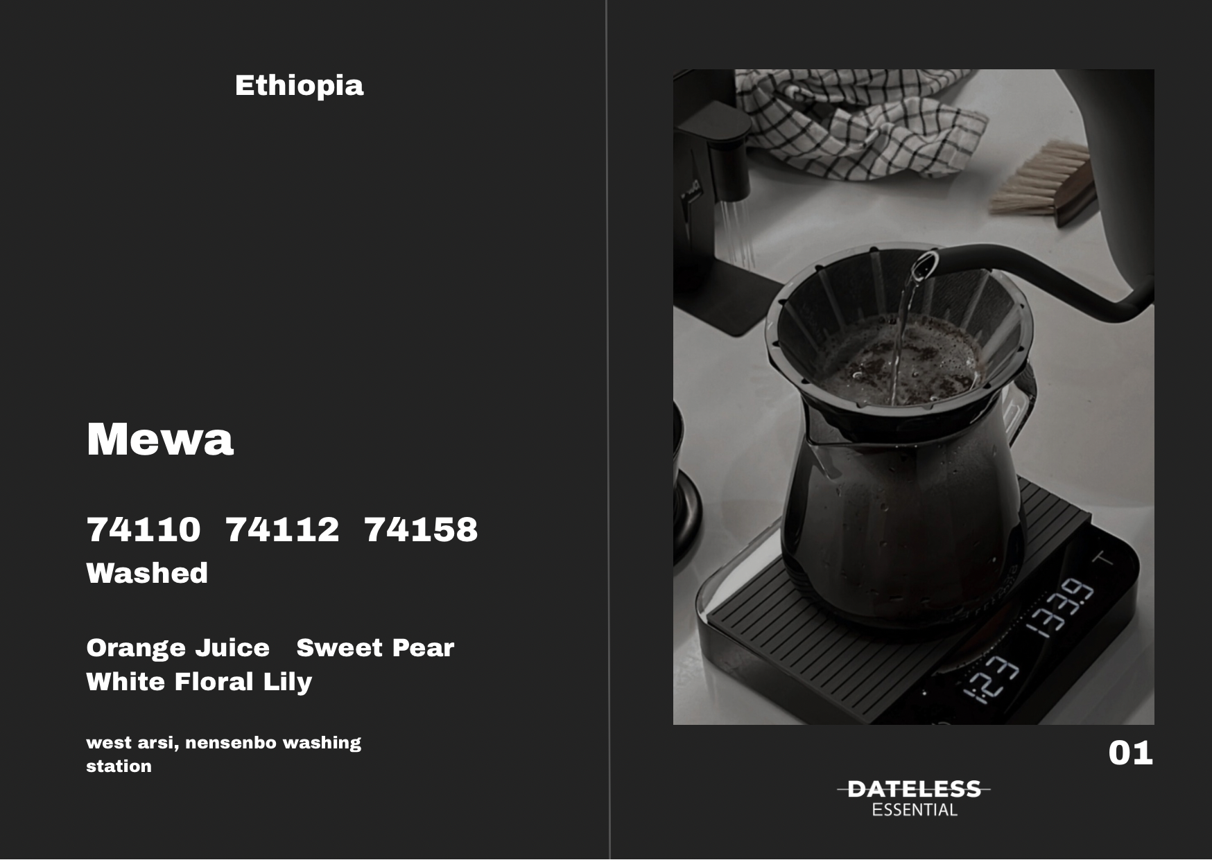 Dateless Coffee Roaster Ethiopia Mewa – specialty coffee beans Malaysia