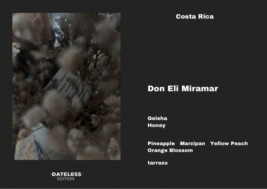[Espresso] Costa Rica Don Eli Miramar