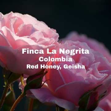 [Filter] Colombia Finca La Negrita