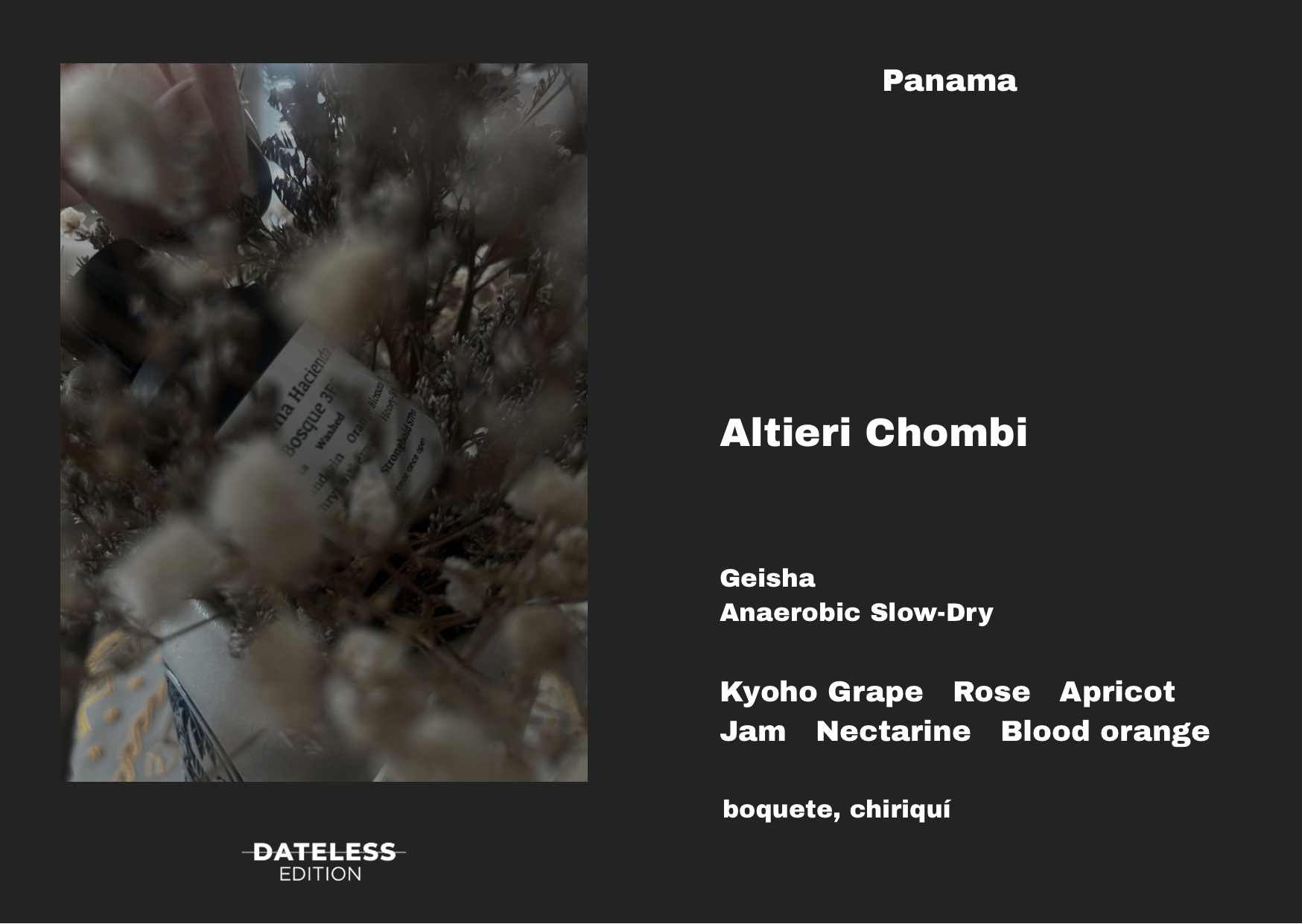 Dateless Coffee Roaster Panama Altieri Chombi ASD [Single Dose] – specialty coffee beans Malaysia