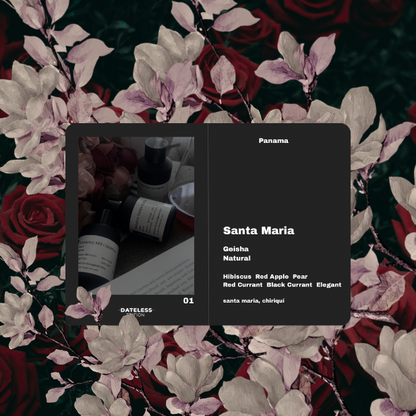 [Filter] Panama Santa Maria