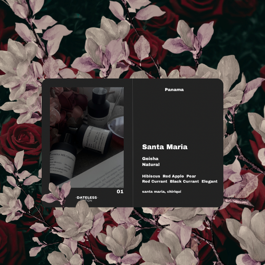 [Filter] Panama Santa Maria