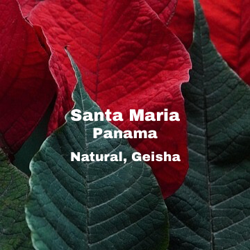 [Filter] Panama Santa Maria