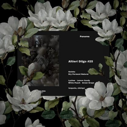 [Filter] Panama Altieri Dilgo #25