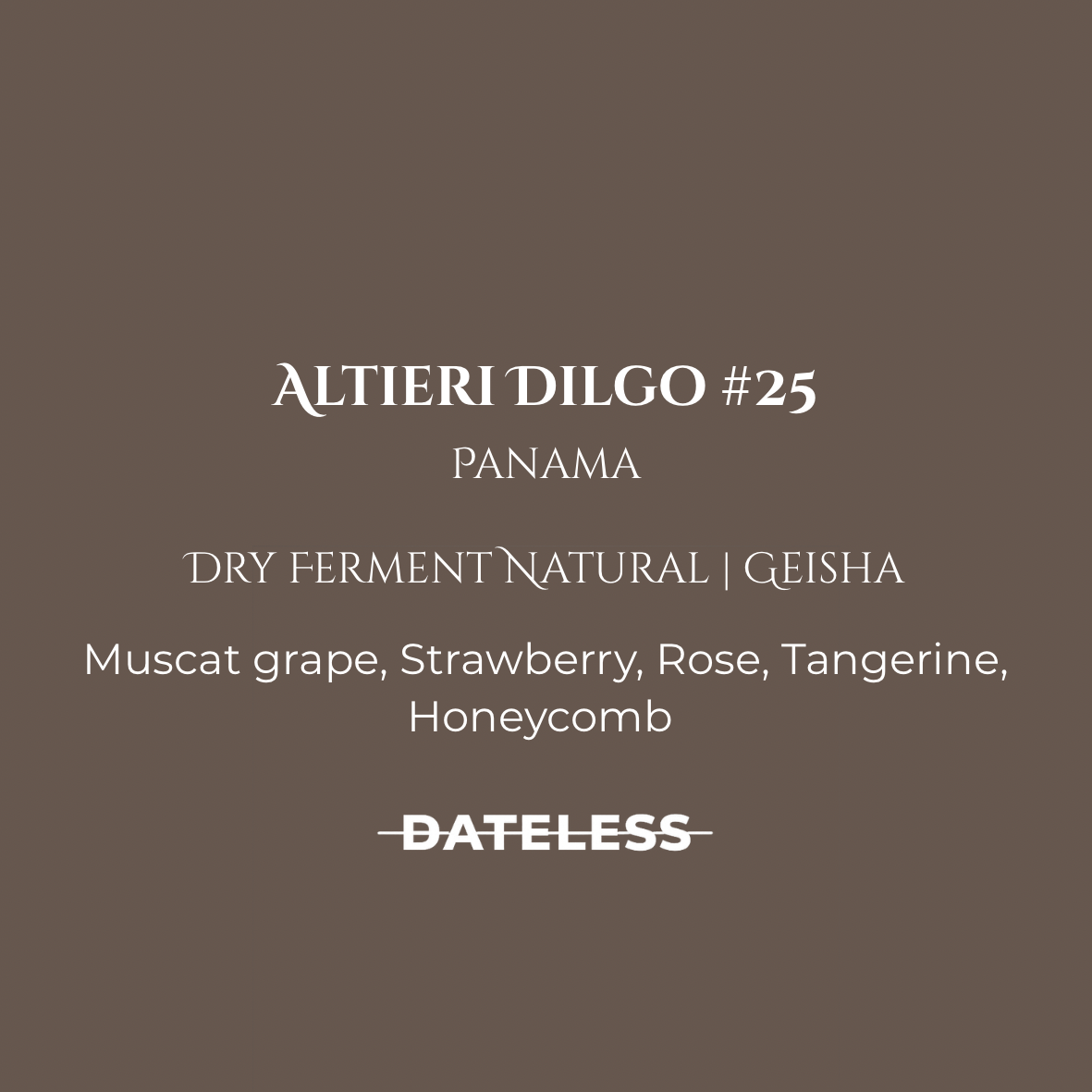 [Single Dose] Altieri Dilgo #25 Dry Ferment Natural Geisha