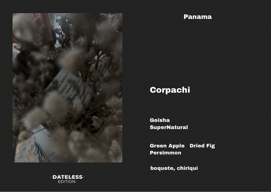 [Filter] Panama Corpachi