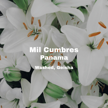 [Filter] Panama Mil Cumbres