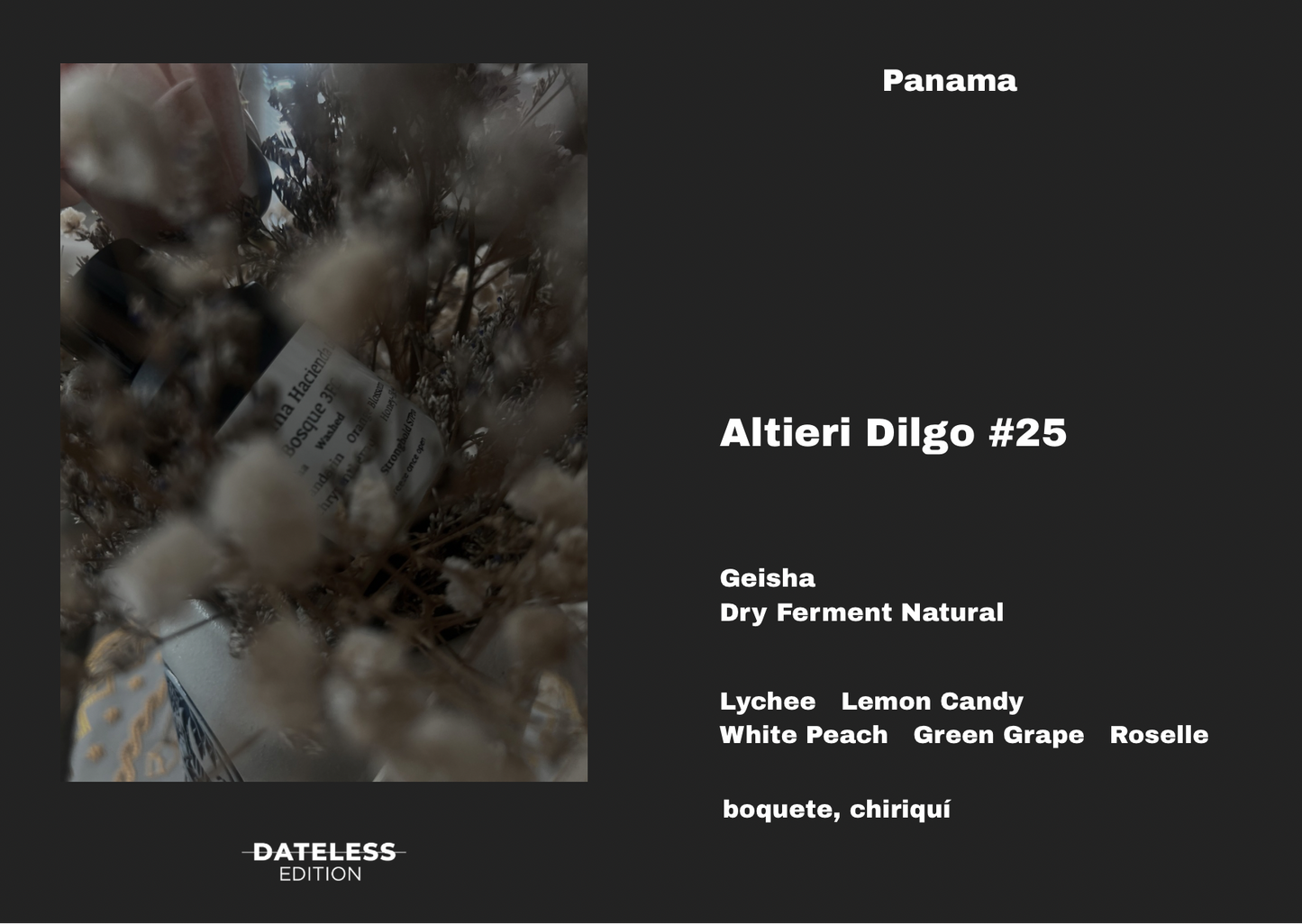[Filter] Panama Altieri Dilgo #25
