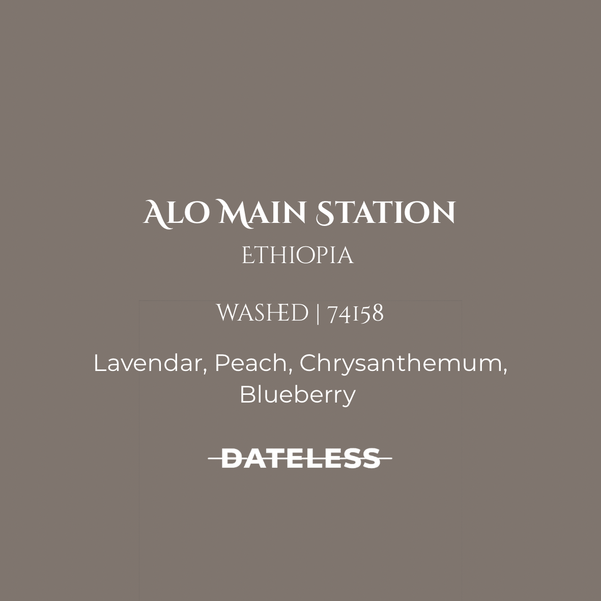 Alo Washed 74158