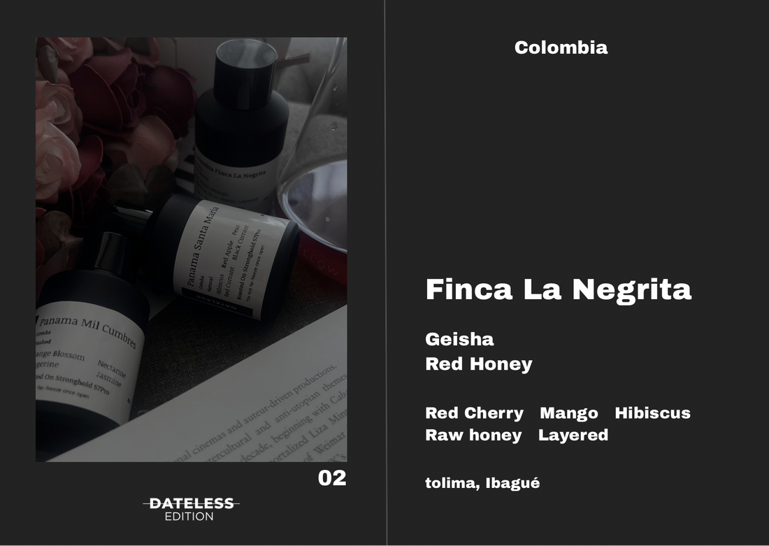 Dateless Coffee Roaster Colombia Finca La Negrita [Single Dose] – specialty coffee beans Malaysia
