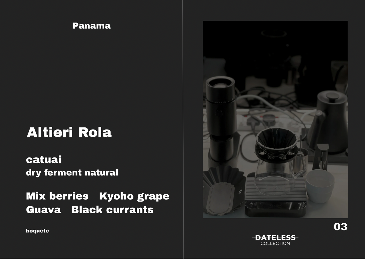 [Filter] Panama Altieri Rola