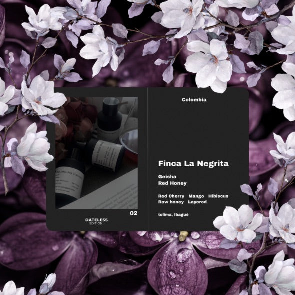 [Filter] Colombia Finca La Negrita