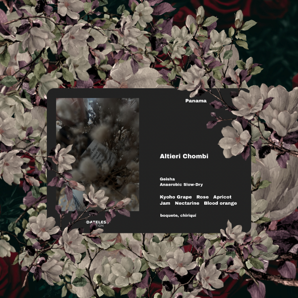 [Filter] Panama Altieri ASD Chombi