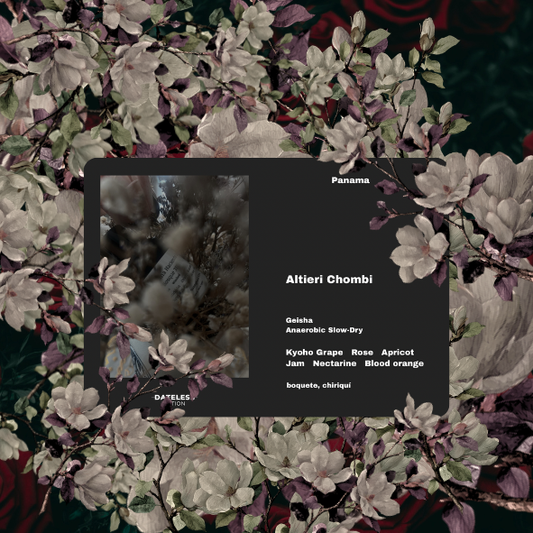 [Filter] Panama Altieri ASD Chombi