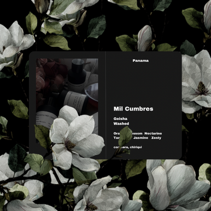 [Filter] Panama Mil Cumbres