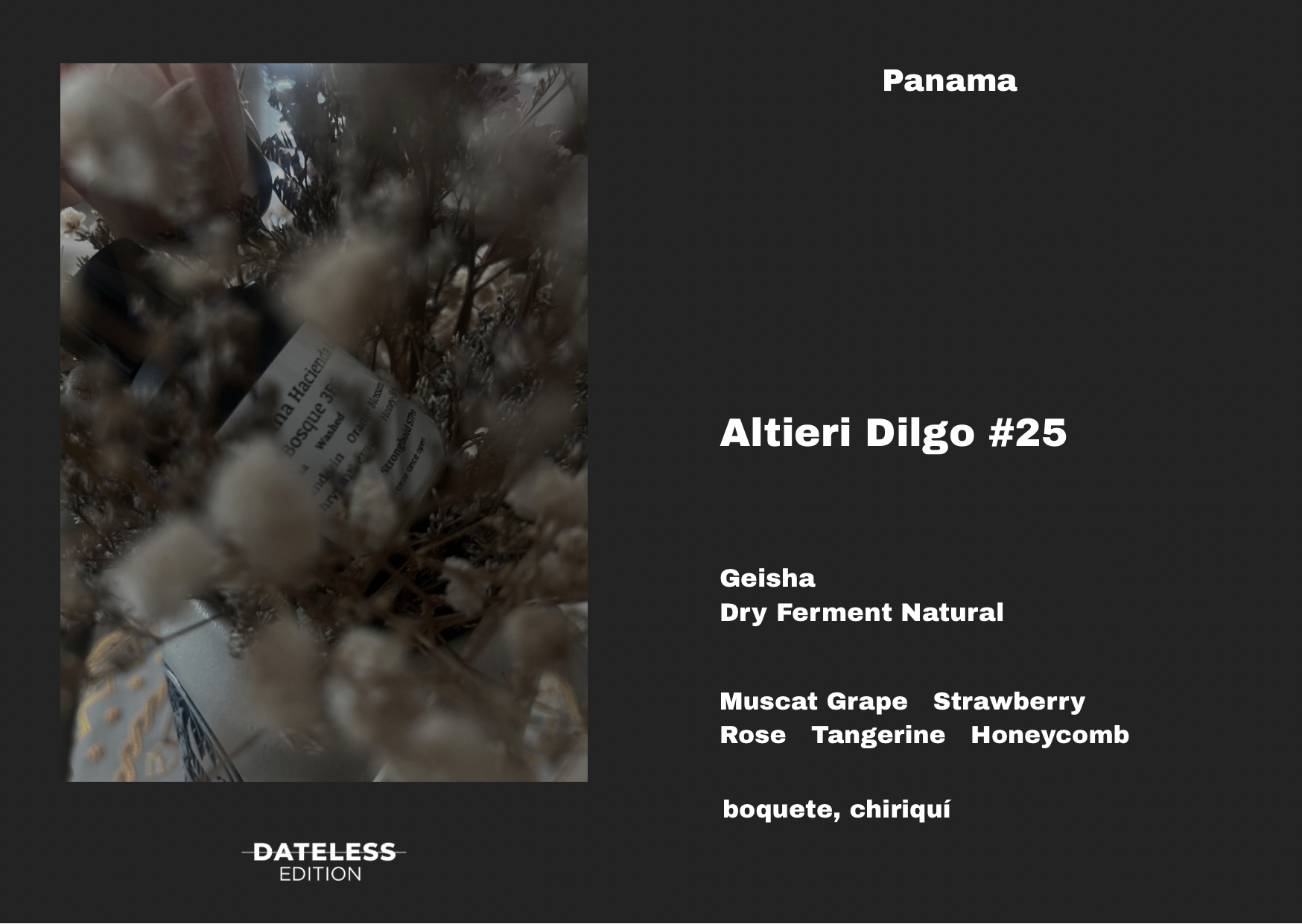 [Single Dose] Altieri Dilgo #25 Dry Ferment Natural Geisha