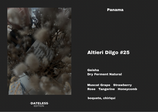 [Single Dose] Altieri Dilgo #25 Dry Ferment Natural Geisha
