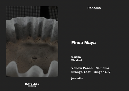 Finca Maya Washed Geisha