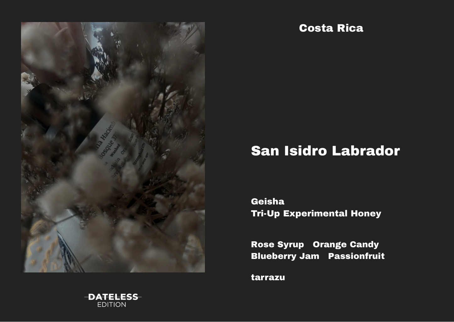 [Single Dose] San Isidro Labrador Experimental Honey Geisha